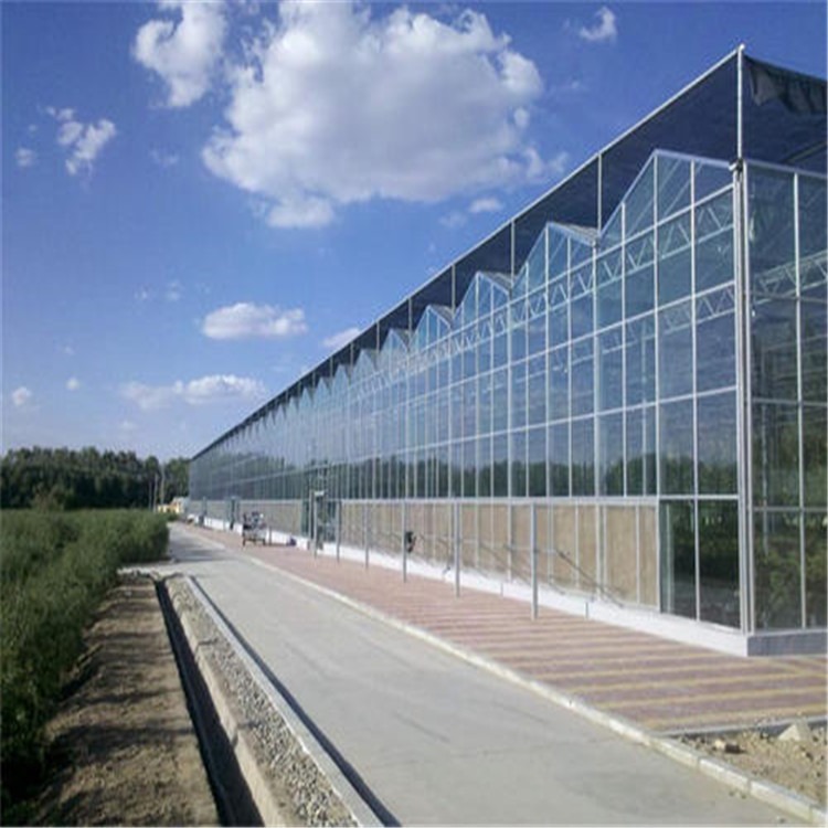 青州自动化温室建设  新式环形大棚造价  旭航温室