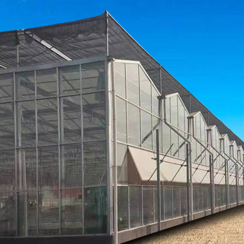 玻璃智能大棚 舜禹温室  玻璃温室 玻璃连栋温室 玻璃育苗大棚