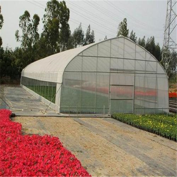 阳光温室建造商 衡水仙人球养殖大棚旭航温室大棚企业图片
