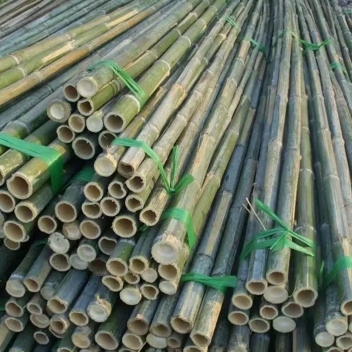 绿化支撑竹杆批发 1.8米菜价竹竿手指粗竹子规格长短粗细均可订制图片
