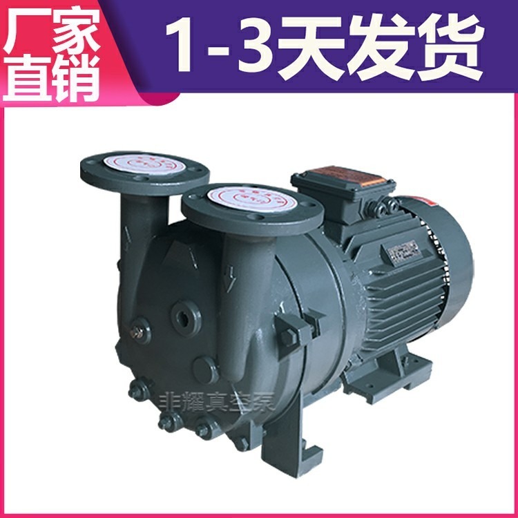 非耀 真空包装用水环泵 耐腐蚀水环式真空泵 2BV5161 厂家直供 杭州