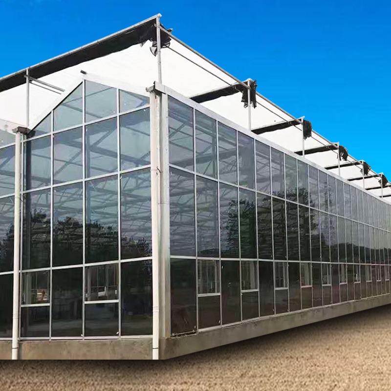 玻璃大棚 玻璃大棚价格 玻璃温室厂家 钢结构大棚 润隆农业