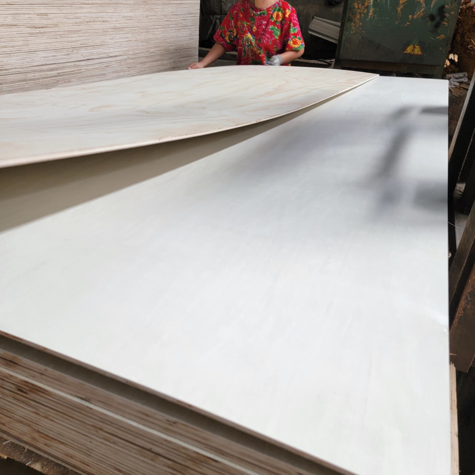 5mm7mm双面漂白杨木三合板工厂直供木板二次成型杨木芯胶合板图片