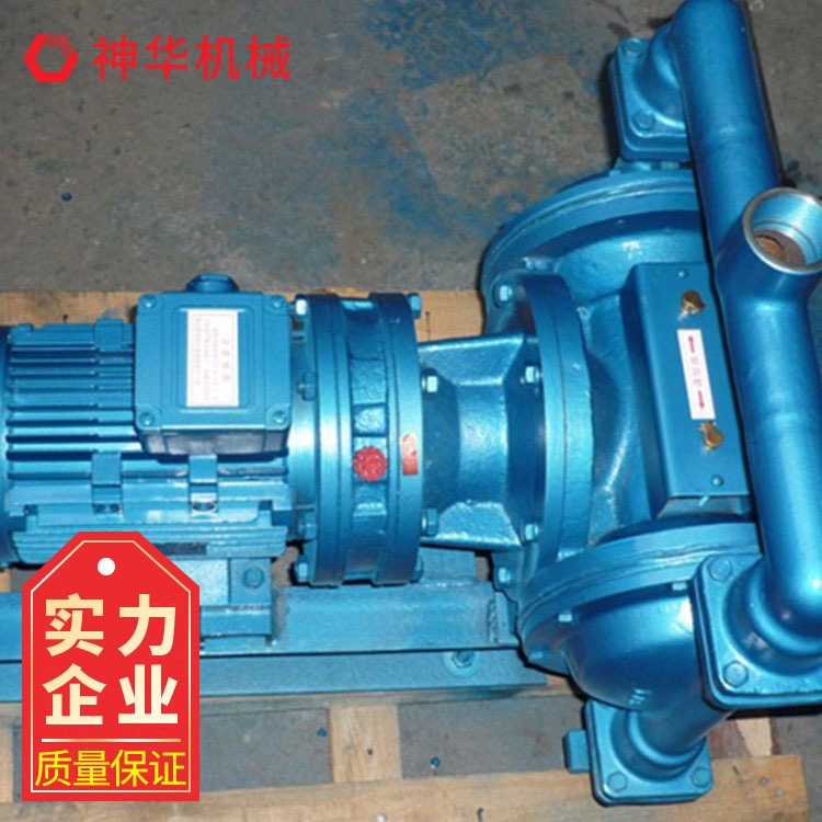神华DBY-65电动隔膜泵性能特点 DBY-65电动隔膜泵技术参数图片