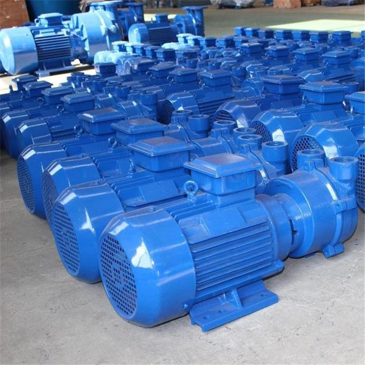 2BEF50水环真空泵 机械密封水环真空泵 水环真空泵质量保障 佳硕