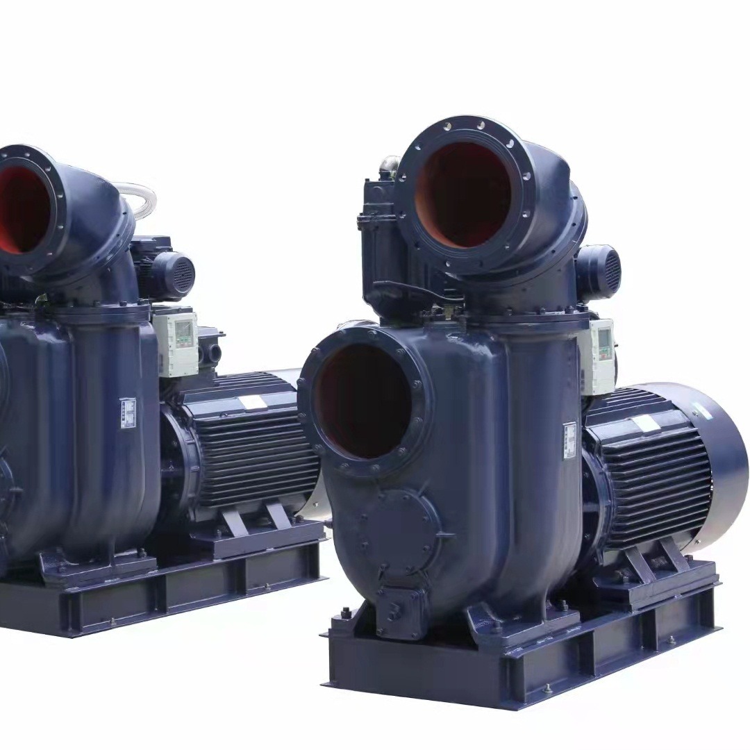 强自吸排污泵 大流量双吸式自吸泵 EQZWS高吸程自吸泵图片