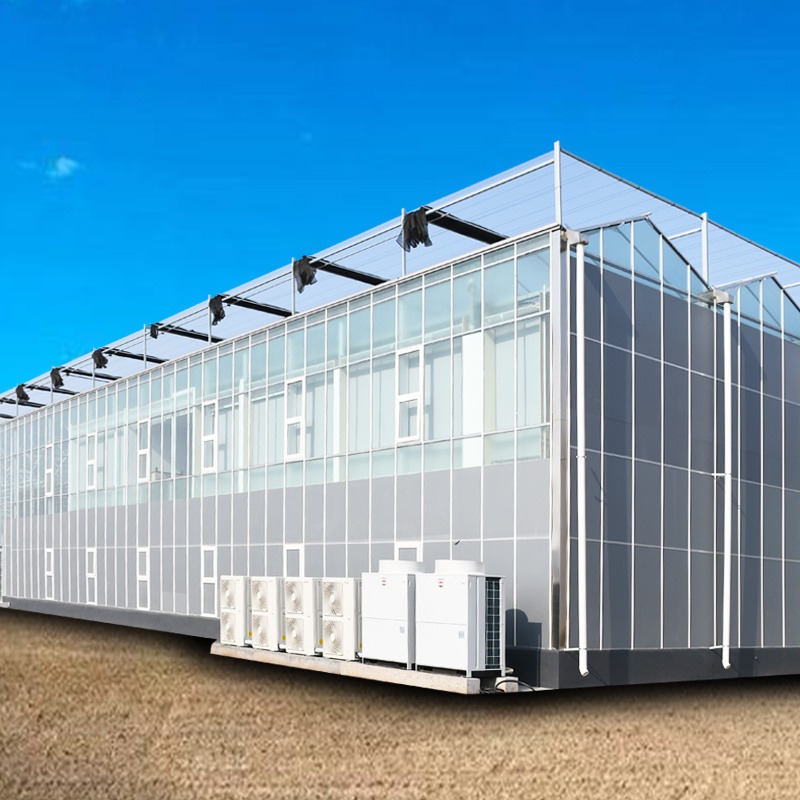 玻璃温室 玻璃大棚厂家 玻璃大棚材料 钢化玻璃温室 润隆农业