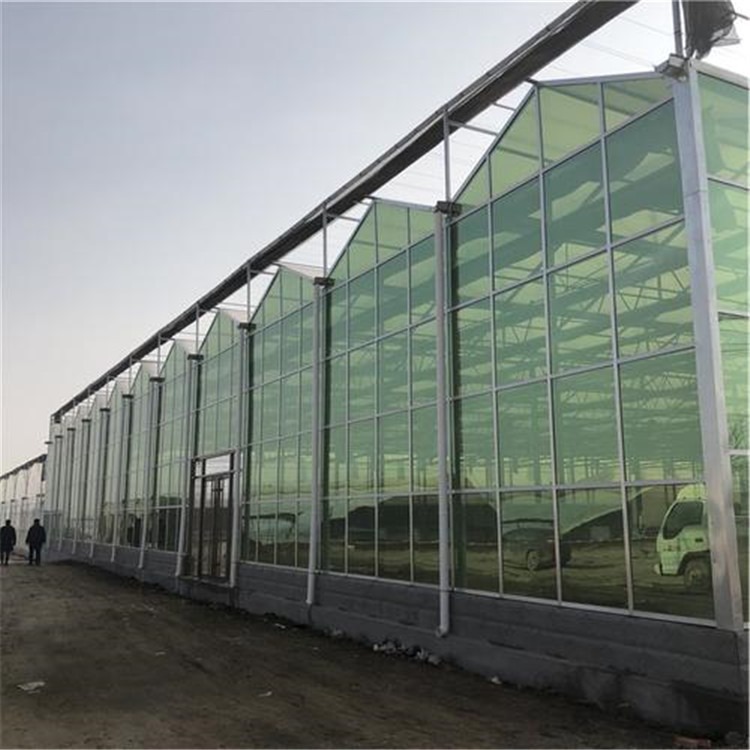 玻璃钢大棚价格  樱桃科技大棚  旭航温室工程建设厂家