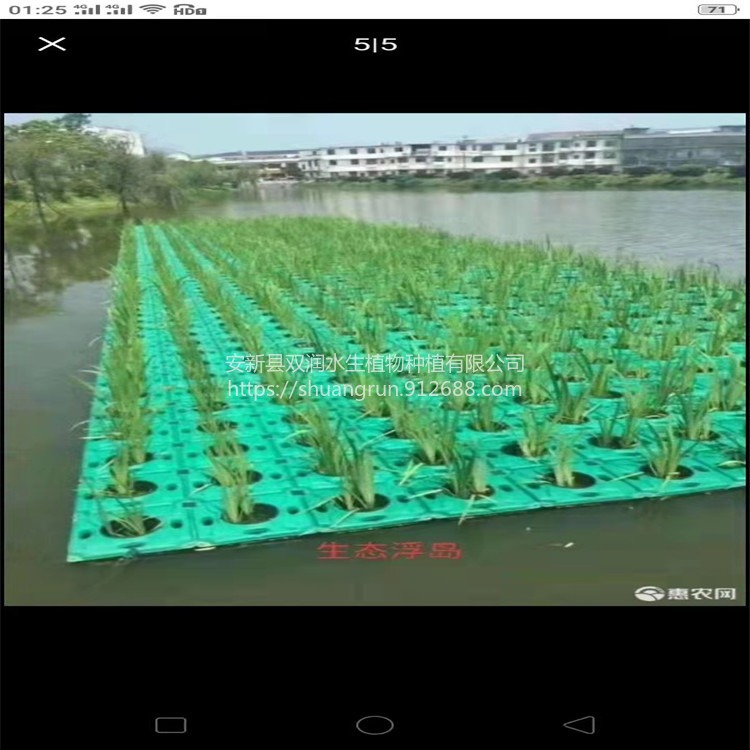 人工浮岛 生态浮床 植物浮床种植价格