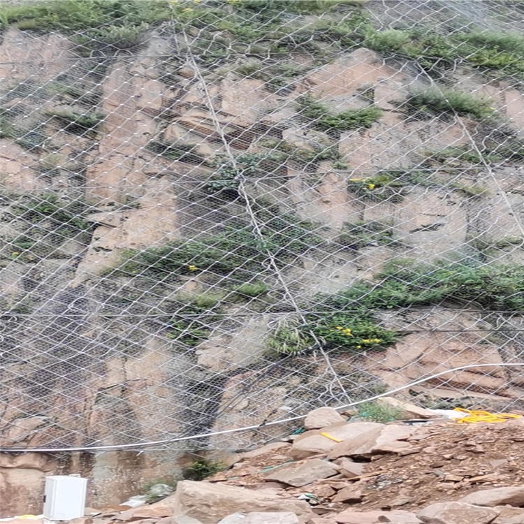 瀚澳工厂定制GPS2主动防护网 秦皇岛高速边坡防落石网 RXI被动菱形钢丝绳网 矿山护坡绿化网