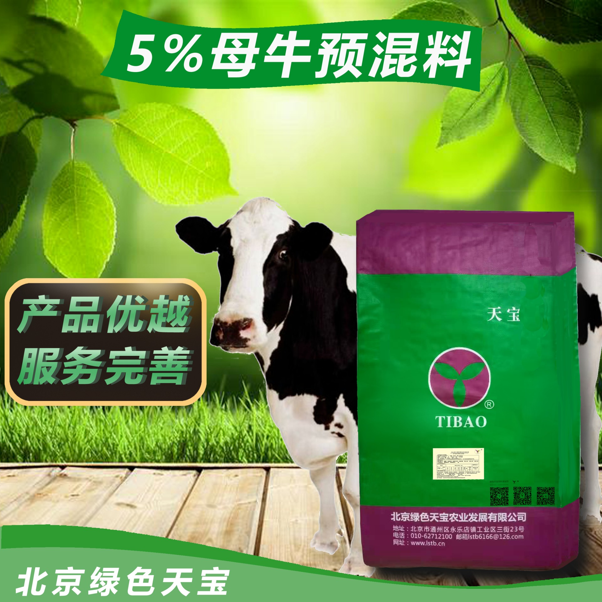 北京绿色天宝 重磅提示  怀孕母牛饲料配方搭配很重要 母牛饲养 母牛预混料  适口性好 奶水充足 过瘤胃图片