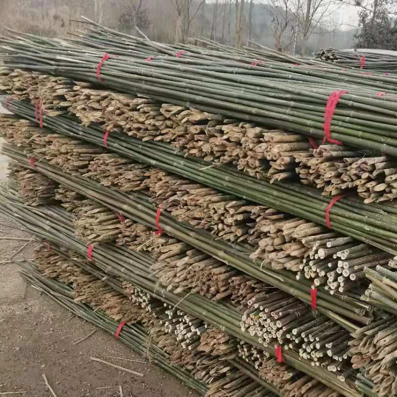 竹竿棍菜园搭架细竹竿2米 2.4米3米 豆角黄瓜爬藤搭架竹杆子规格可定制