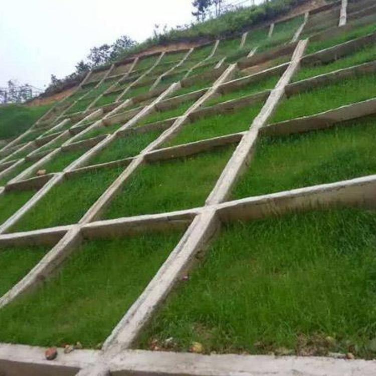客土喷播道路边坡绿化框架梁绿化混凝土植草植生袋护坡施工