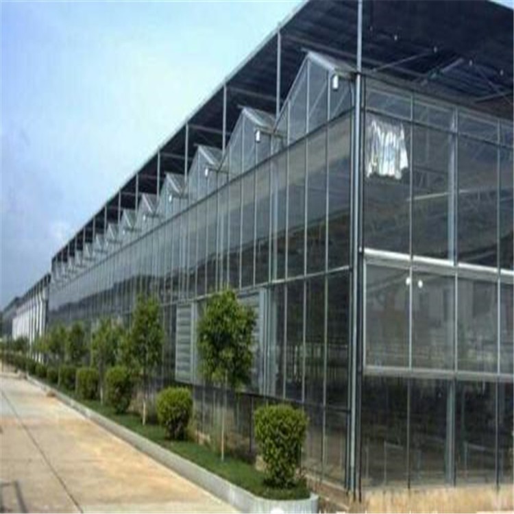 起脊屋顶大棚  东营玻璃智能温室  旭航温室工程建设厂家