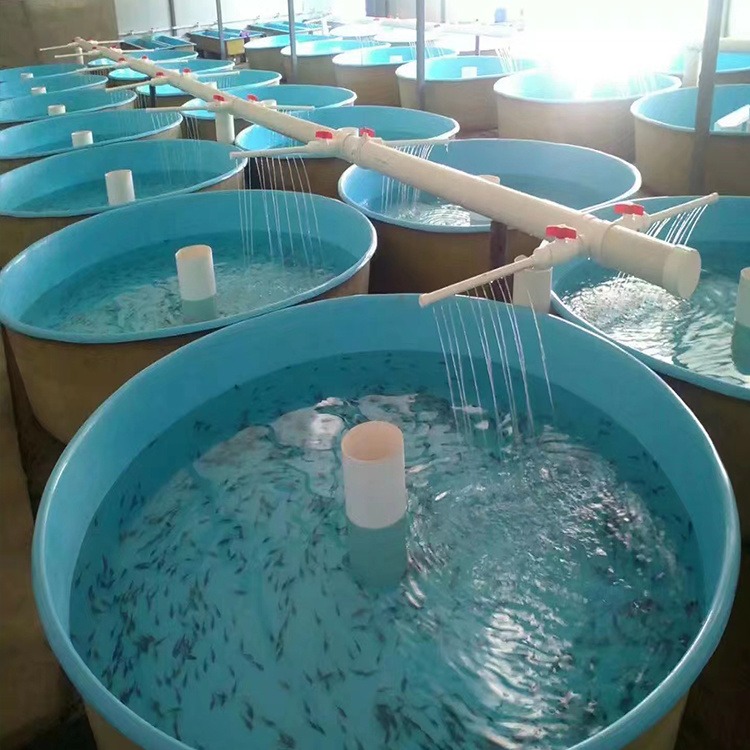 腾广制造 养殖水槽 鱼苗孵化池养鱼水槽 玻璃钢养鱼池 鱼苗池图片