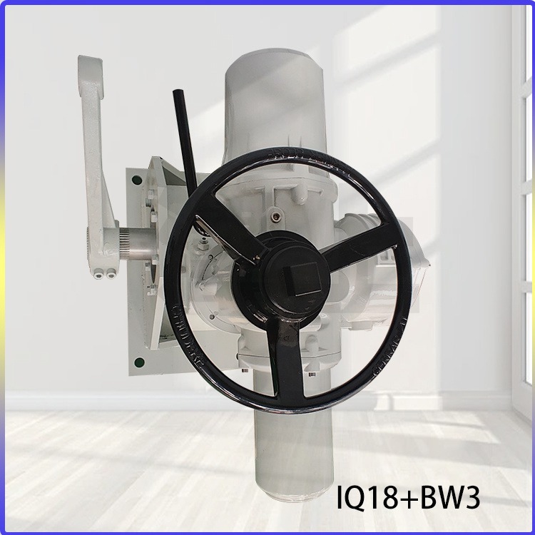 罗托克 Q型机电一体驱动阀门 IQ18+BW3 IQ18+BW4 引进技术国内生产 新增二级减速器