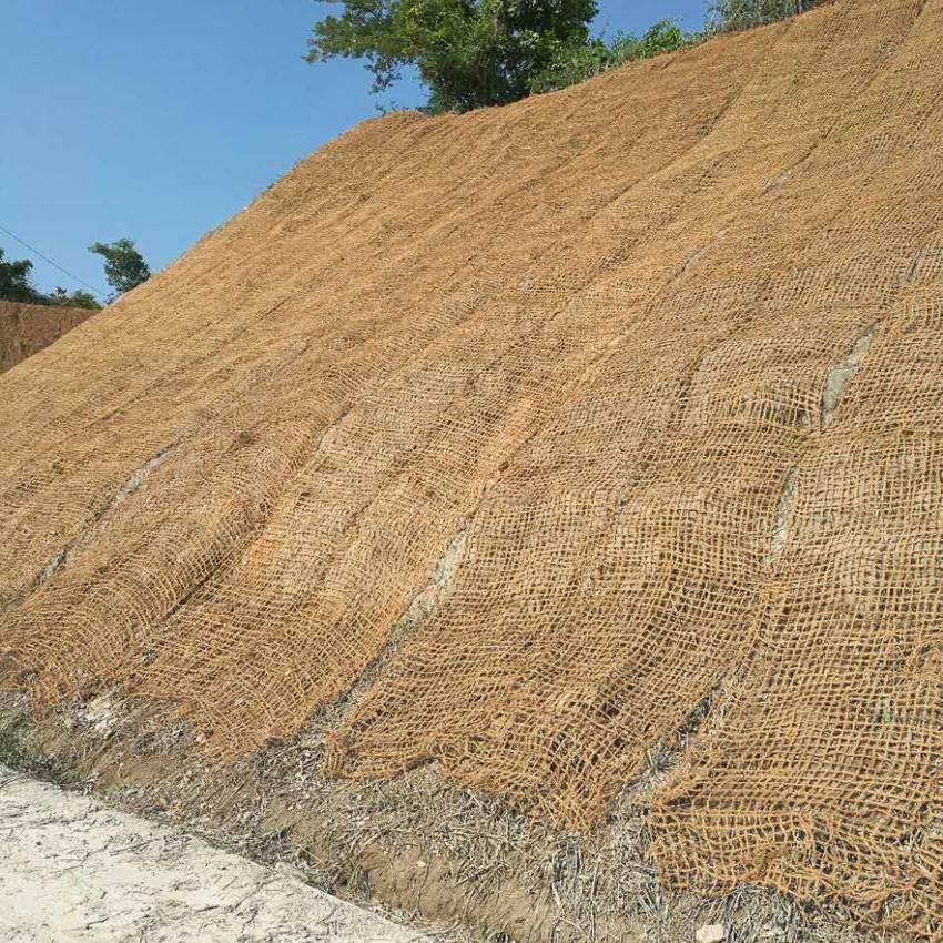 椰网 CF网  椰纤维丝网 植被修复专用椰丝毯 边坡绿化