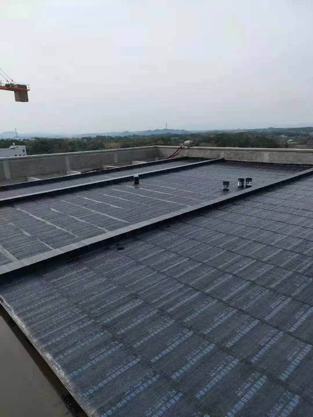 杭州天信黑膜改性沥青化学阻根种植屋面耐根穿刺防水卷材