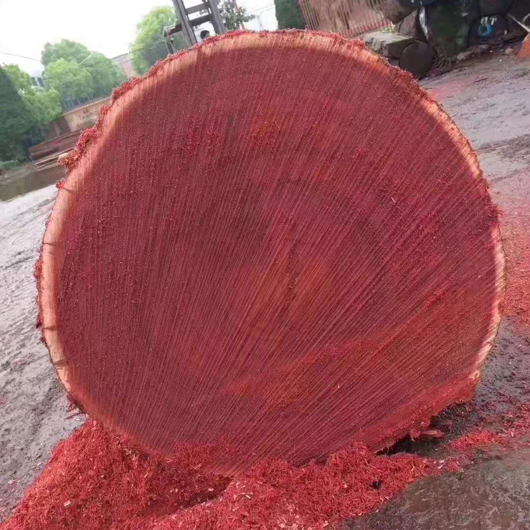 厂家供应阿摩栋原木批发及加工服务 进口木材