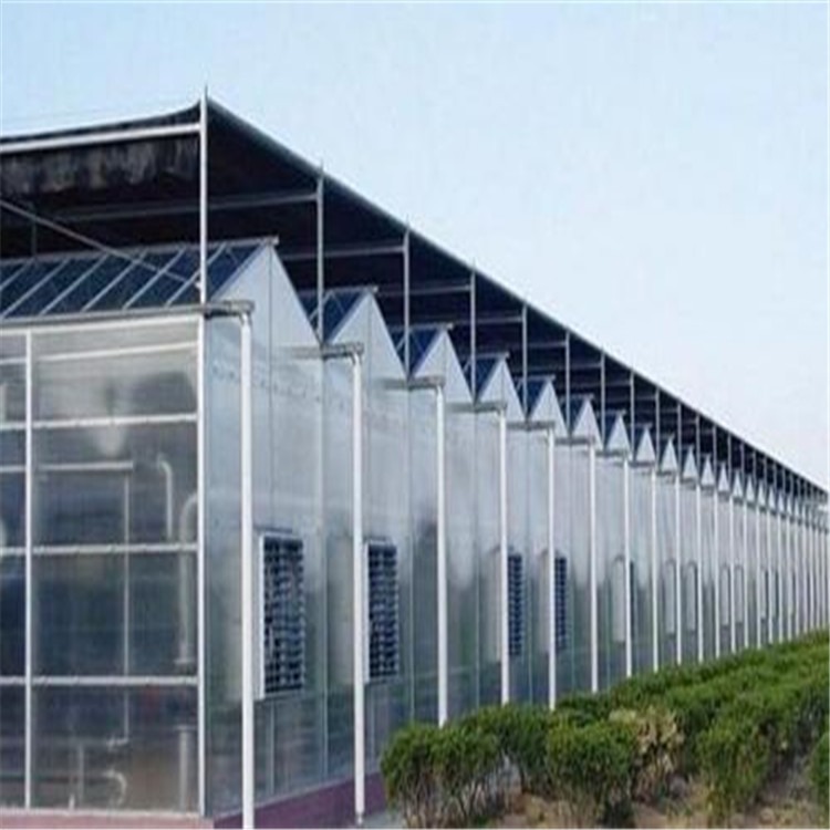 玻璃钢温室大棚造价 智能阳光板温室价格 旭航