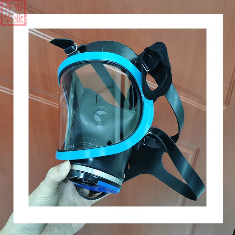 斯博瑞安/霍尼韦尔COSMO蓝色全面罩1710643自吸过滤式防毒面具面罩