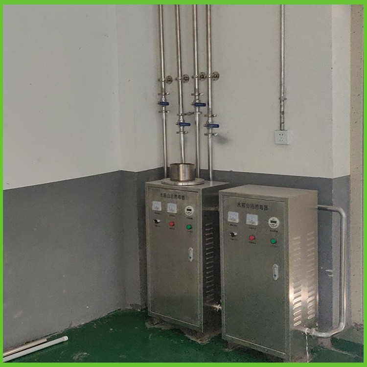 微电解水箱水质处理机 WTS-2W 微电解水箱消毒器 睿汐环保厂家图片