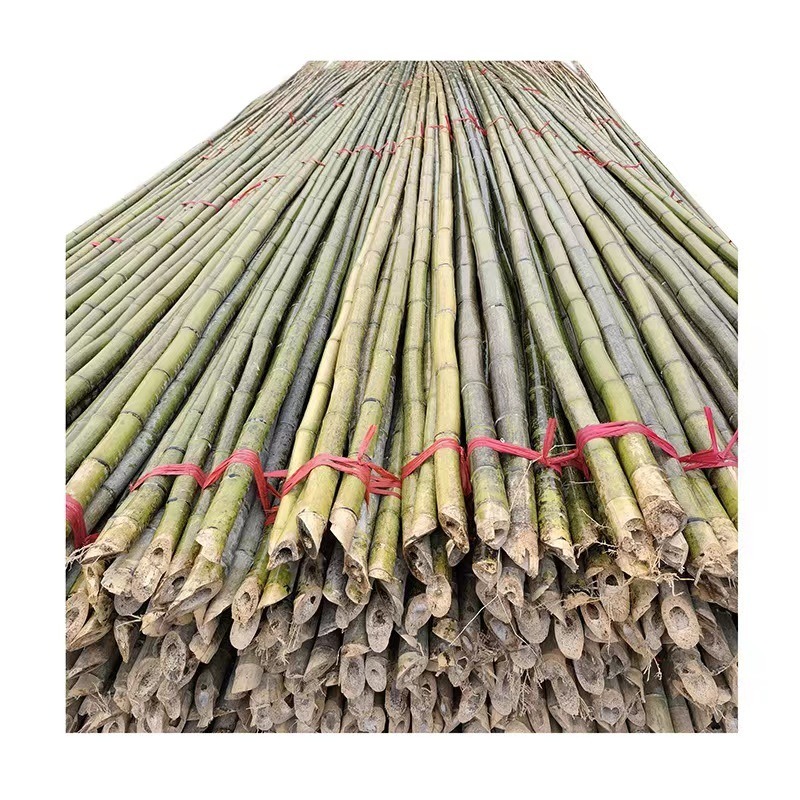 温室搭大棚竹竿价格8米 9米淡竹长竹竿产地直销