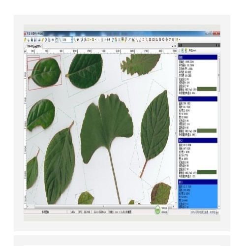 植物图像分析仪中西器材 型号:M348434