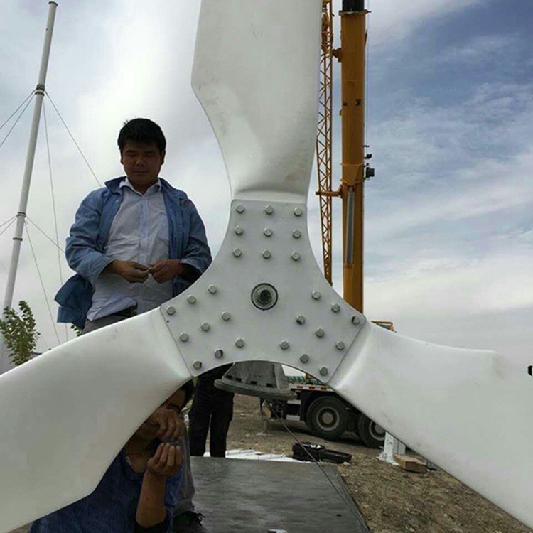 晟成厂家供应大功率10kw风力发电机 铸铁外壳永磁三相交流发电发电机 风电场用十千瓦风力发电机并网型