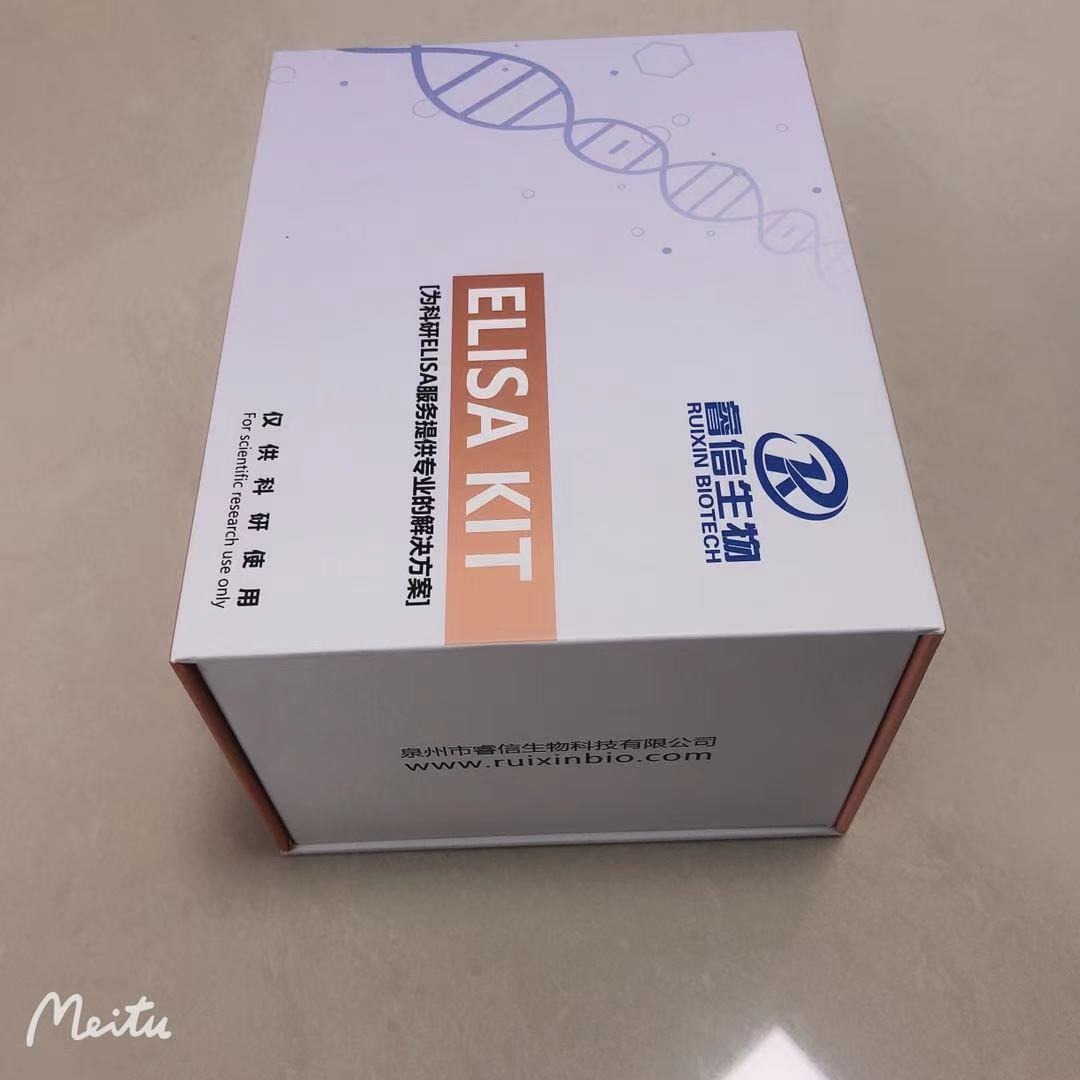 绵羊ELISA试剂盒 犬ELISA试剂盒 单克隆抗体 睿信生物图片