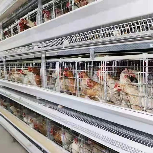 养鸡设备 厂家直销 鸡笼 喂料机 清粪机 捡蛋机 温控控制柜 所以自动化养鸡设备配件河南柏业