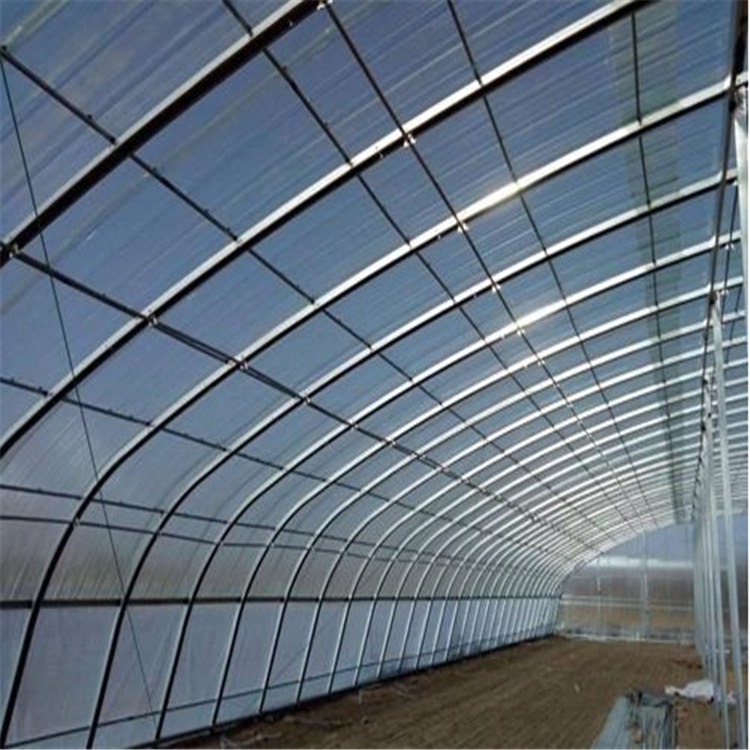 加拿大冬季蔬菜大棚 日光温室 旭航温室大棚建造图片