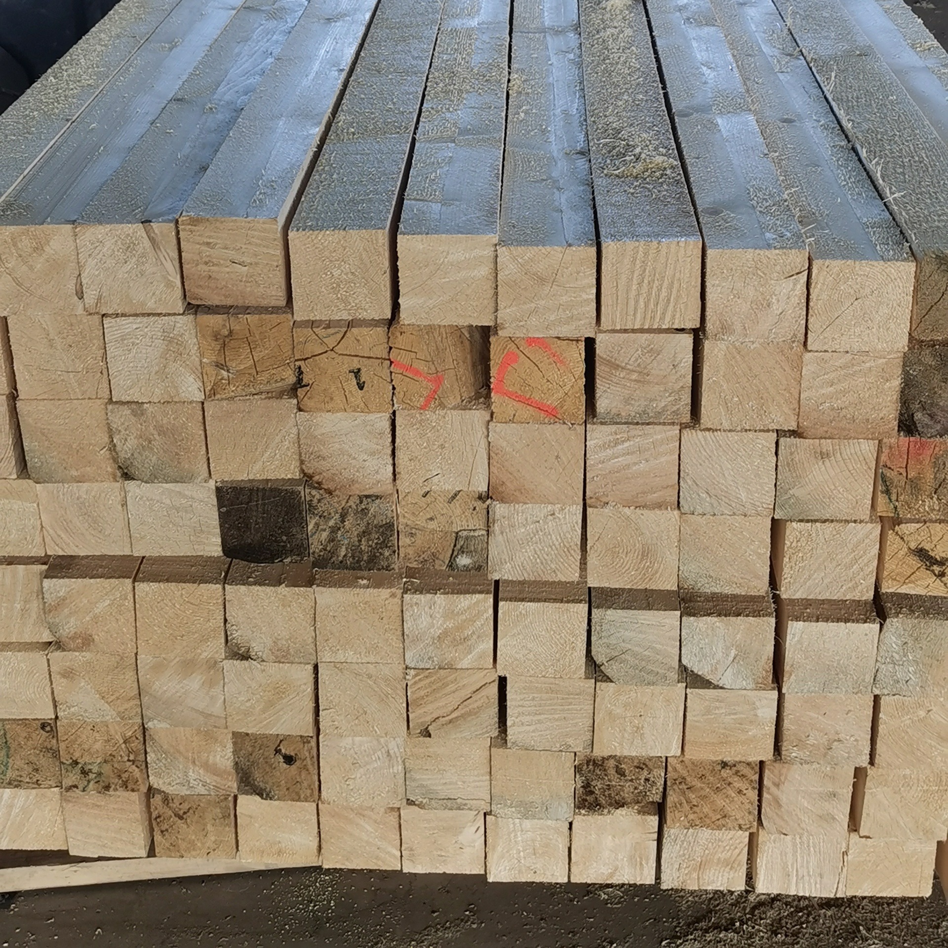 万家木业 建筑材料木方 3x6木方价格 建筑方木批发