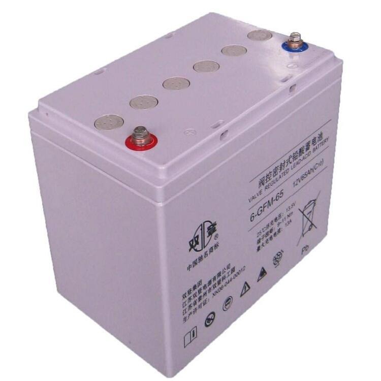上海双登蓄电池6-FM-65 12V65AH UPS/EPS通讯电源专用电池