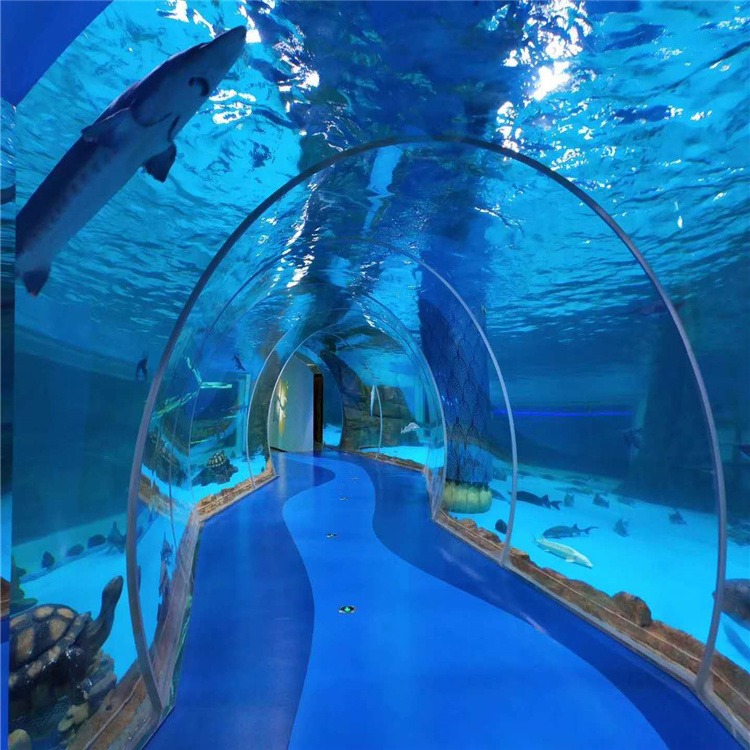 lanhu专业海洋馆设计水族工程 大型鱼缸景观鱼缸室内海洋馆建设施工工程