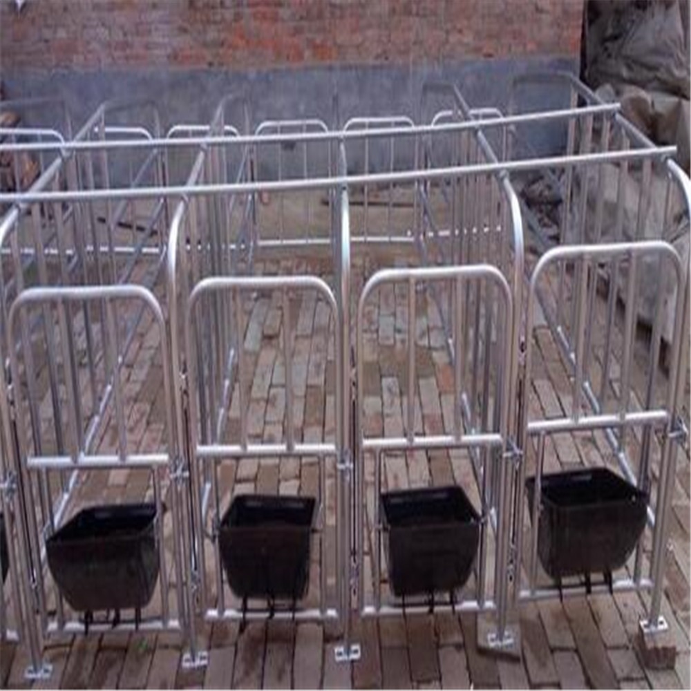 世昌畜牧供应猪用怀孕保胎隔栏猪笼设备2.1*6.5限位栏母猪定位栏
