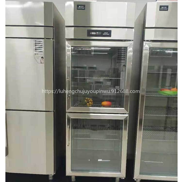 冰立方展示柜S0.5G2 立式上下门保鲜柜 冰立方二门陈列柜 商用立式冷柜冰箱