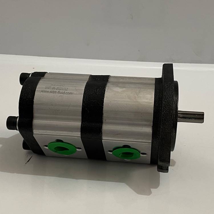 舒克贝塔流体技术CBN-E306/306液压双联齿轮泵图片