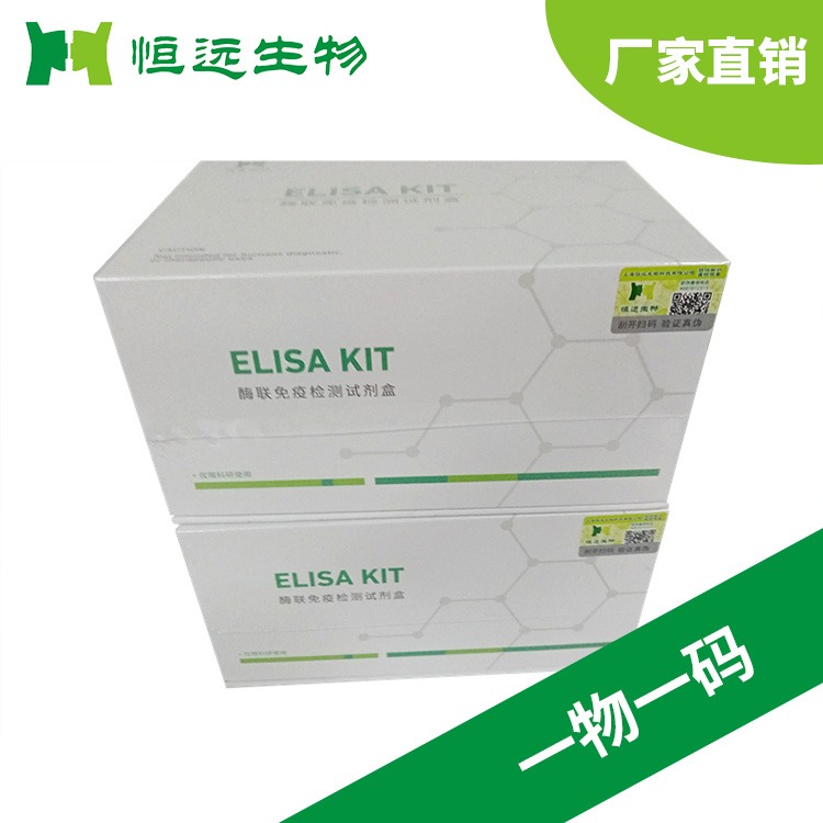 恒远生物猫β干扰素(IFN-β)ELISA试剂盒酶联免疫厂家
