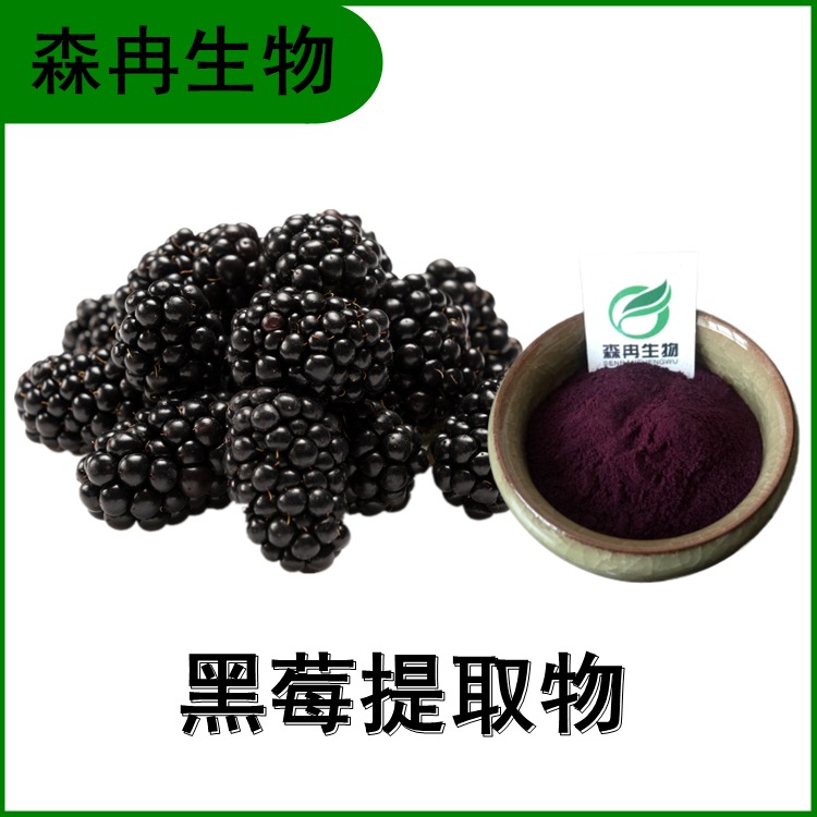 黑莓提取物 露莓浓缩粉 花青素 比例提取10:1 多种规格 喷雾干燥