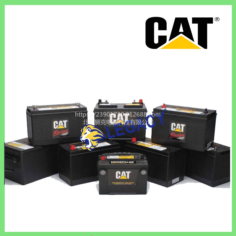 美国CAT蓄电池250-0477，MF-AGM/VRLA 12V165AH电池-张掖供应商