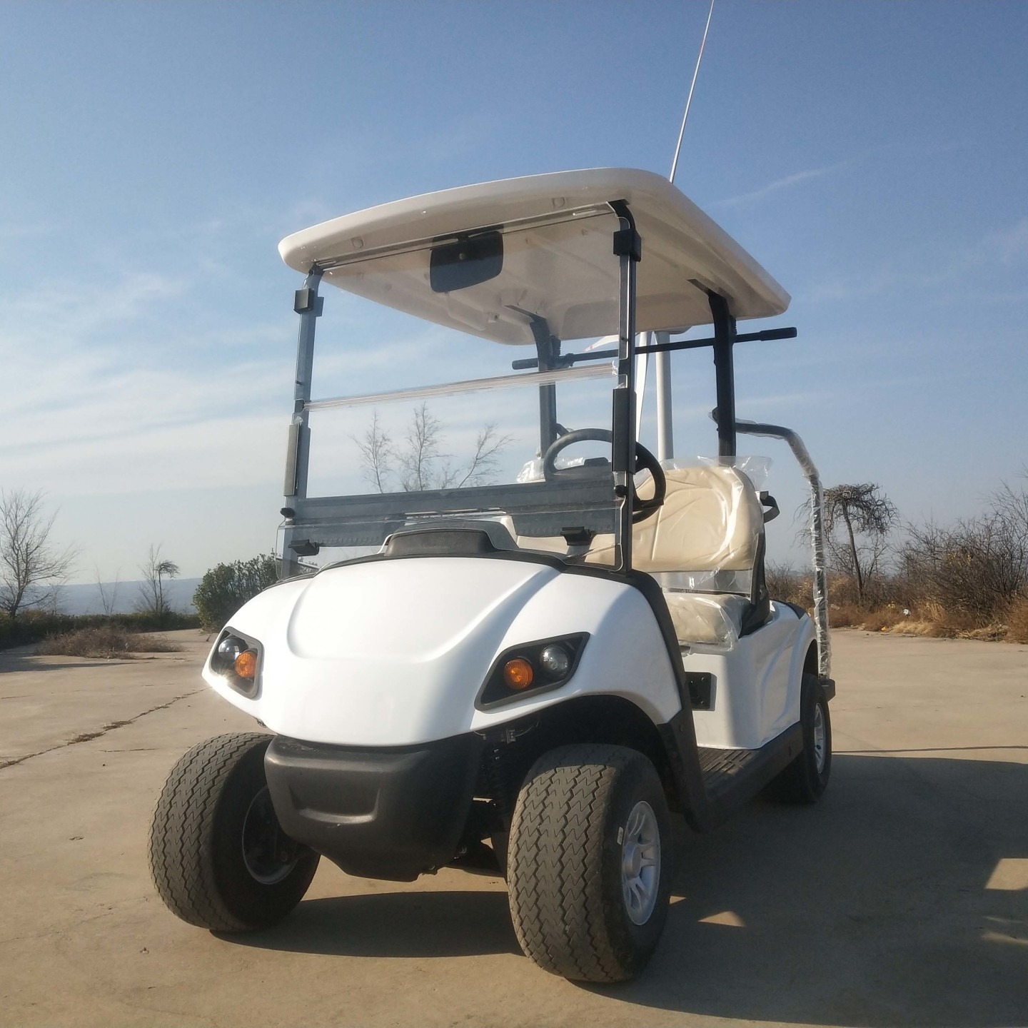 鸿畅达 供应 HCD-2GE 2座  电动 高尔夫球车 高尔夫观光车图片