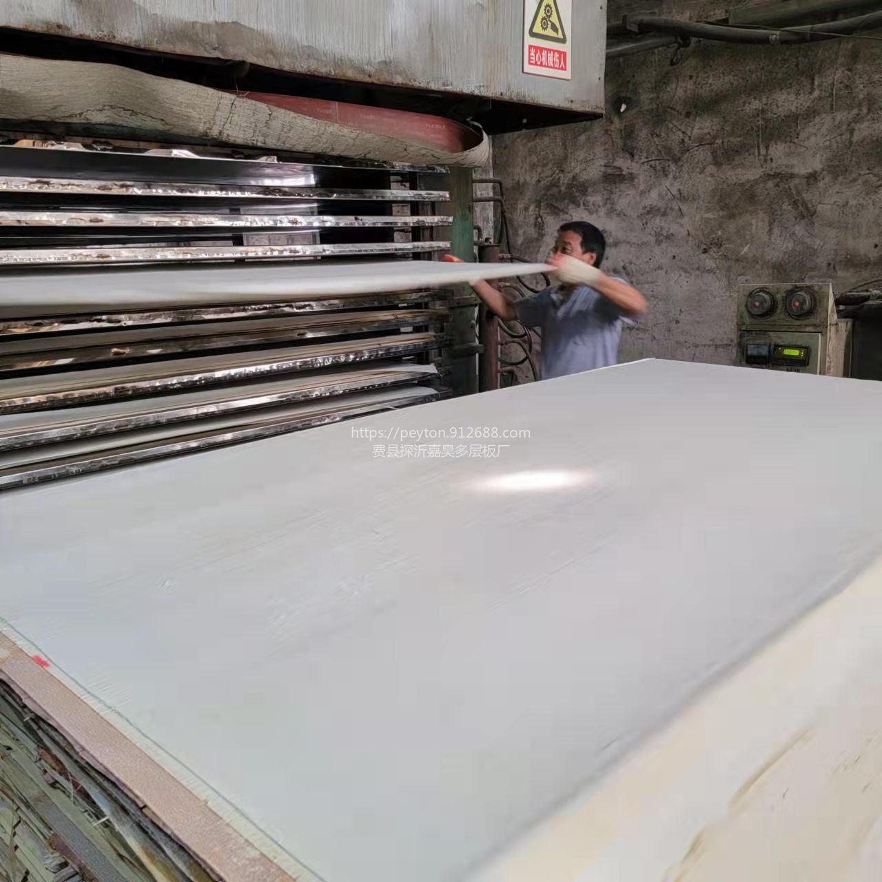 3mm-30mm二次成型纯白面漂白杨木胶合板沙发板包装板激光雕刻喷漆图片