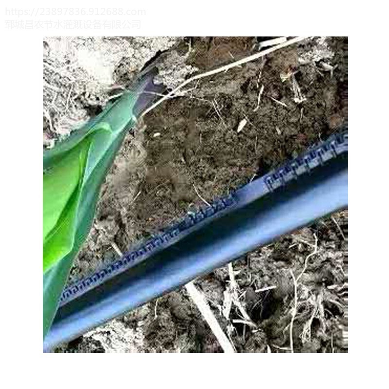 许昌农业大田玉米滴灌带使用方法 玉米滴灌带安装方法
