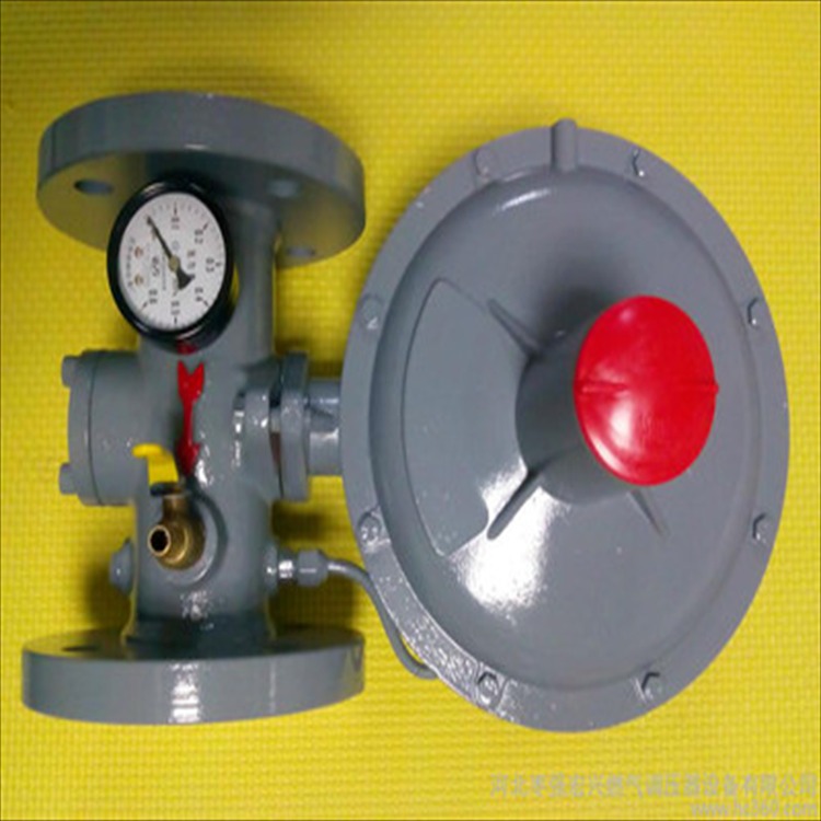 燃气调压器 切断式燃气调压器 枣强 燃气调压箱 支持在线订购图片