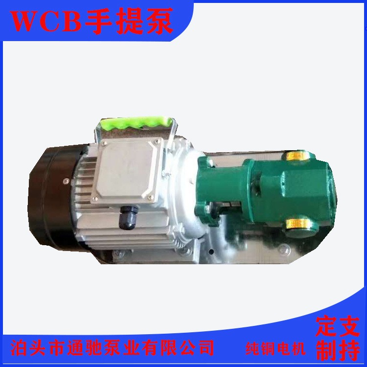 二相手提泵 WCB便携式齿轮油泵 插桶泵使用方便有304不锈钢和铸铁两种