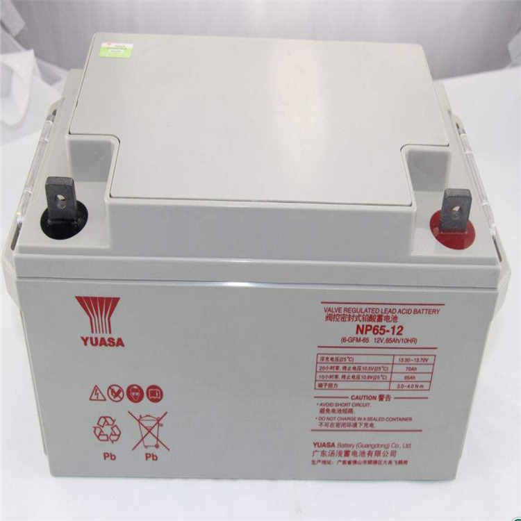 汤浅蓄电池NPL120-12 12V120AH阀控密封式铅酸