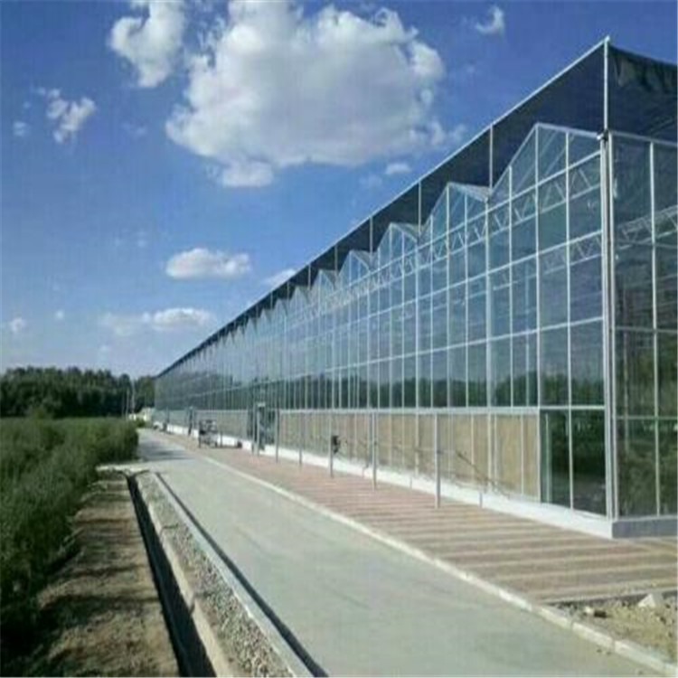 聊城玻璃温室大棚造价 透明采光瓦大棚的造价 旭航温室大棚建设图片