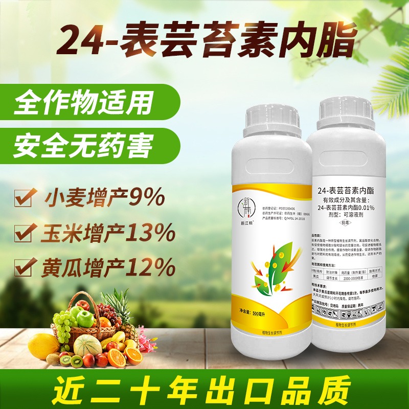 新江楠0.01%24-表芸苔素内酯可溶液剂 调节生长 增产增收 全作物适用  安全无药害