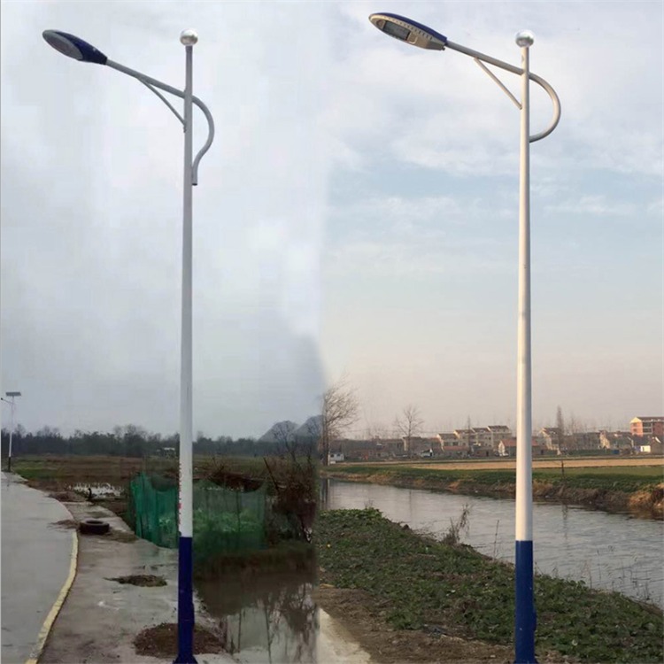 品胜批发路灯杆 LED道路灯 单臂双臂灯杆6米8米10米 价格优惠图片